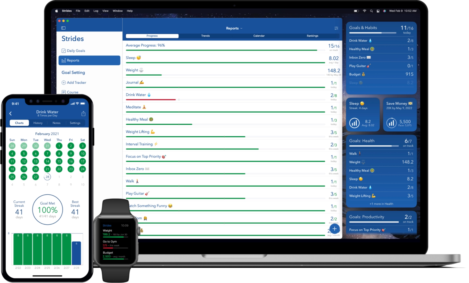 Screenshot of Strides interface