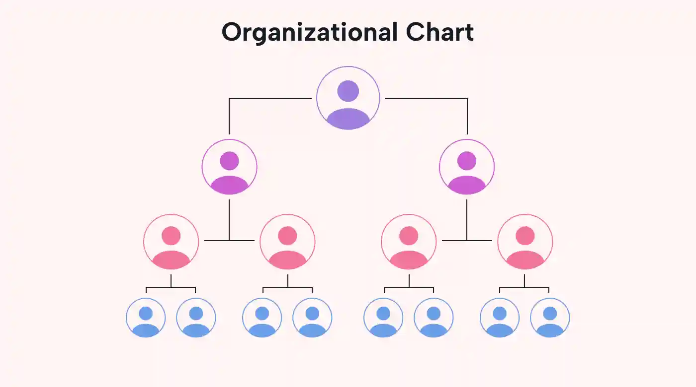 Organizational chart