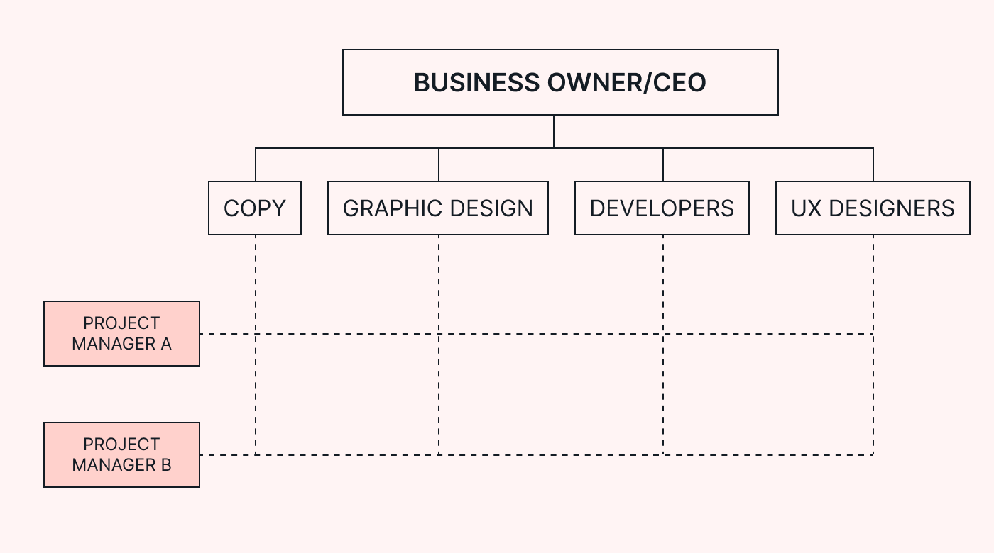 The structure of a company using a matrix environment