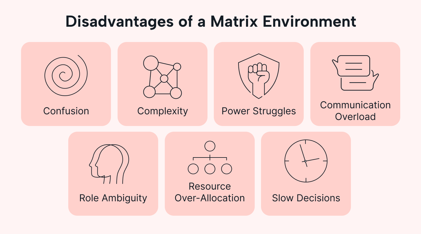 Disadvantages of a Matrix Environment