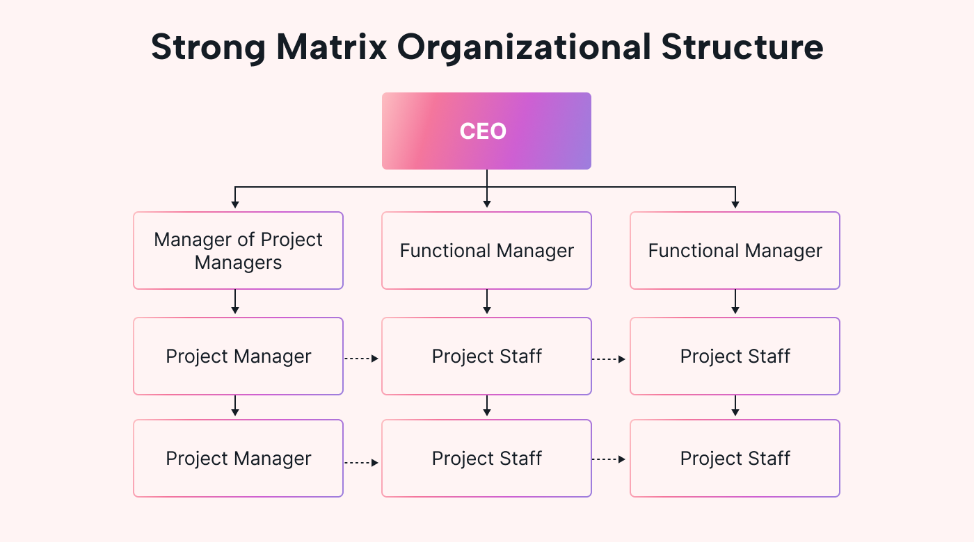 Structure of strong matrix organization