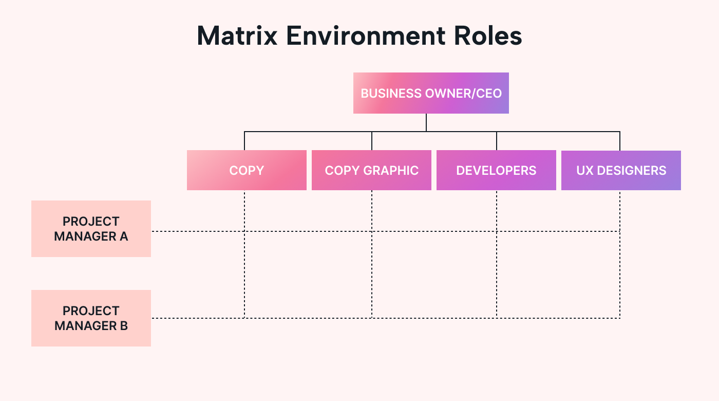 Hierarchy chart showing matrix environment structure