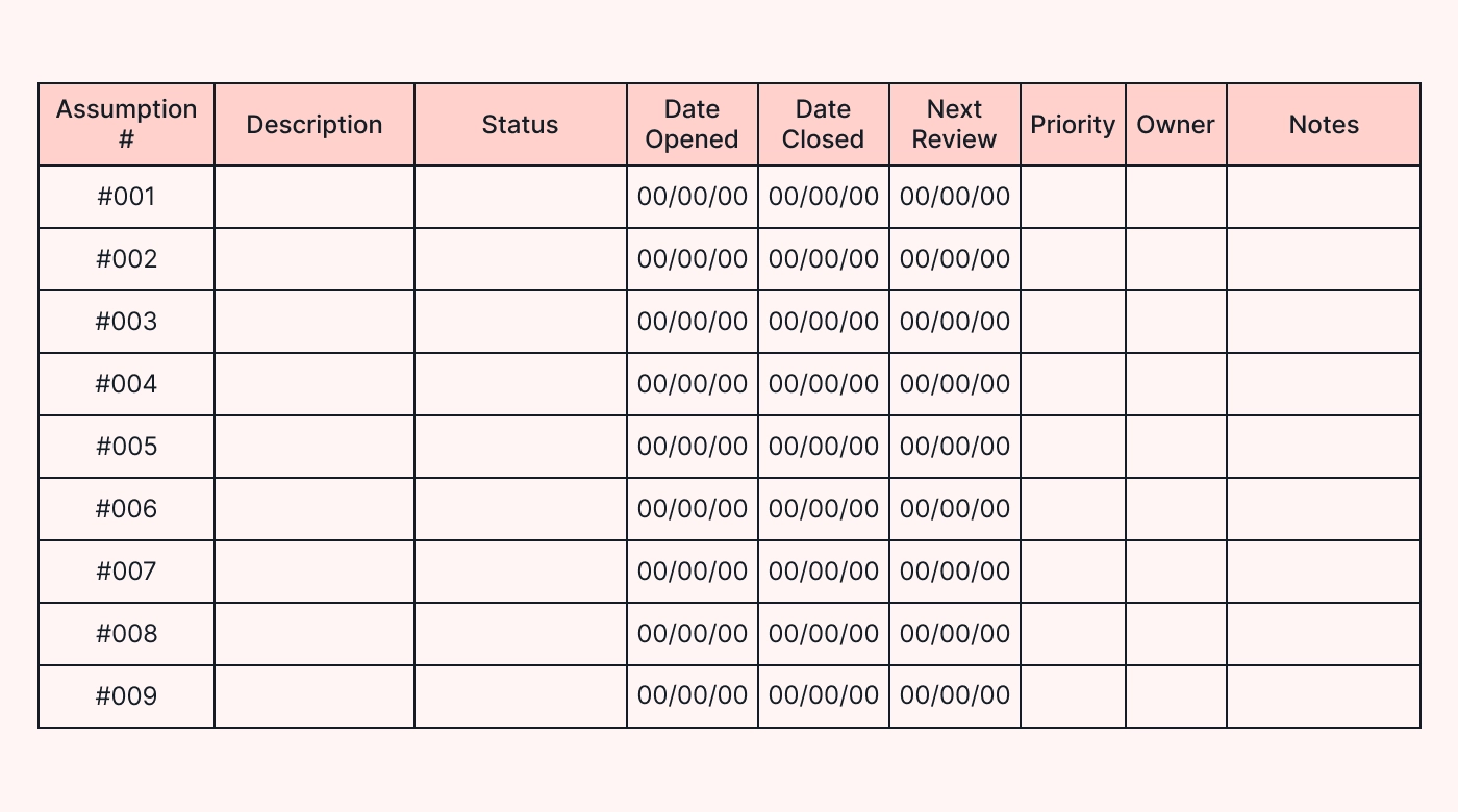 Assumptions log template