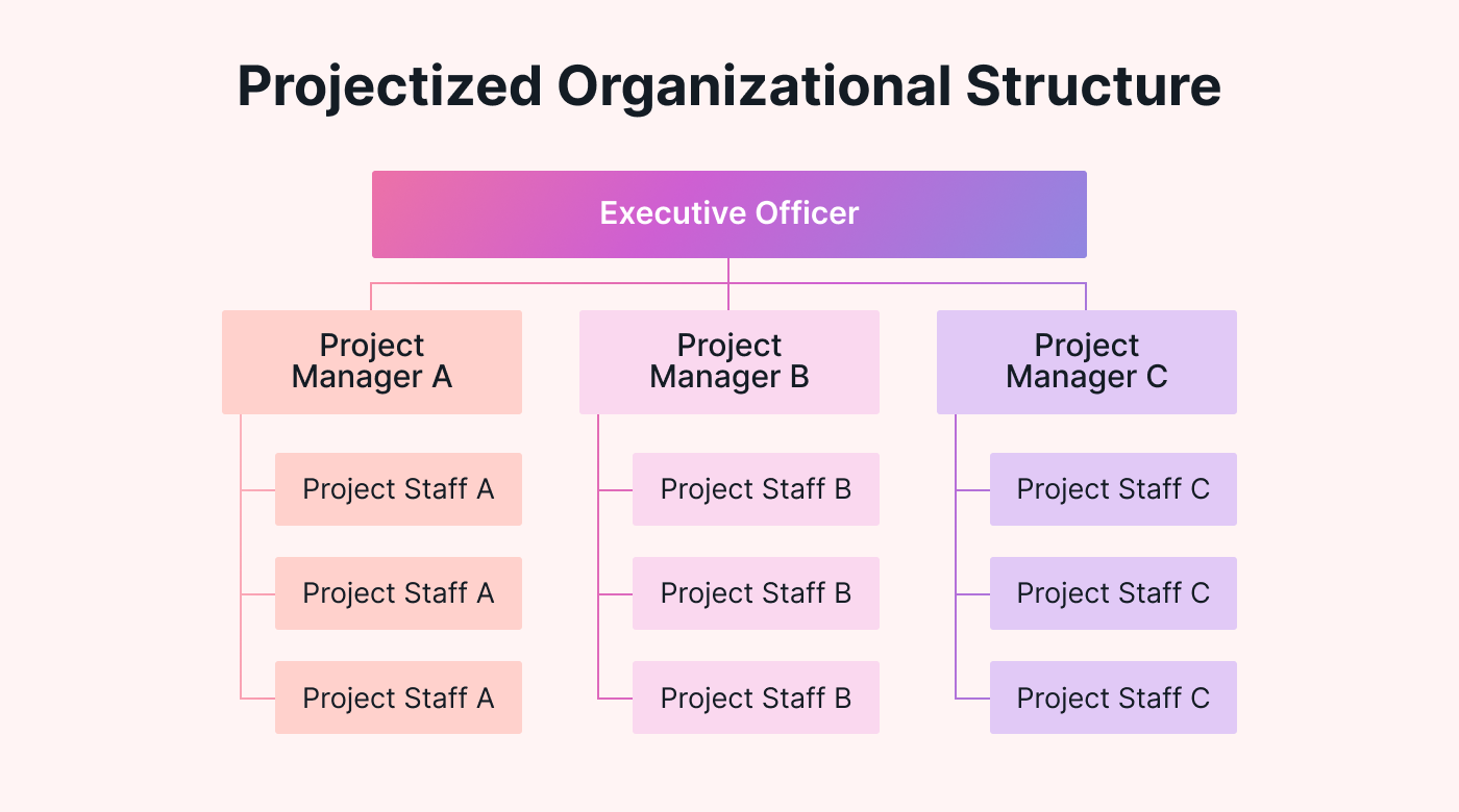 An example of a projectized organizational structure