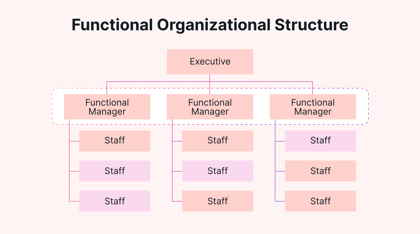An example of a functional organizational structure