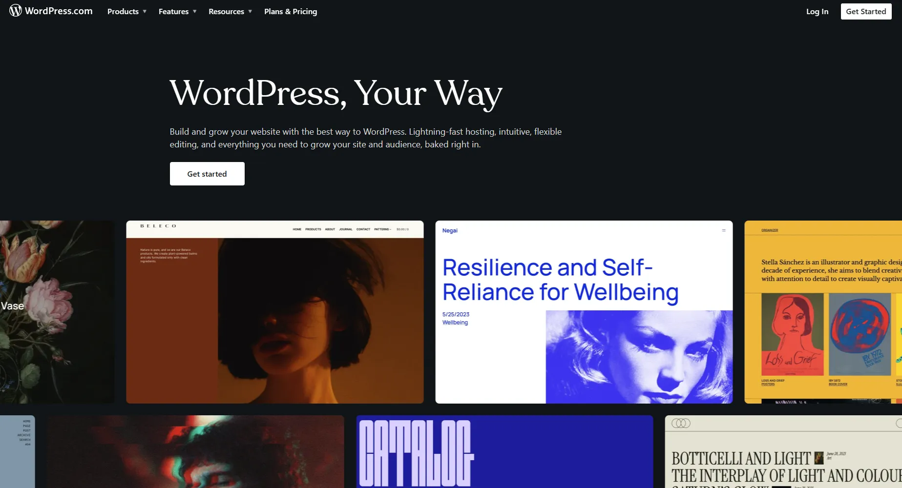 Screenshot of WordPress homepage