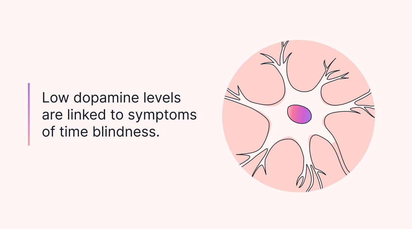 Low dopamine linked to time blindness